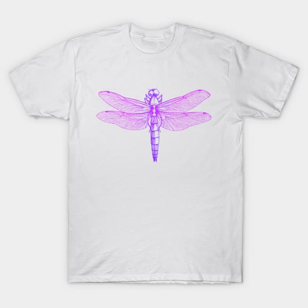 Dramabite Vintage retro dragonfly scientific illustration entomologist T-Shirt by dramabite